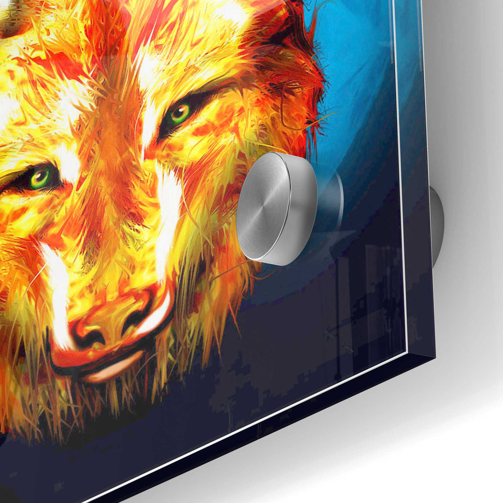 Epic Art 'Lone Wolf' by Michael Stewart, Acrylic Glass Wall Art,24x36