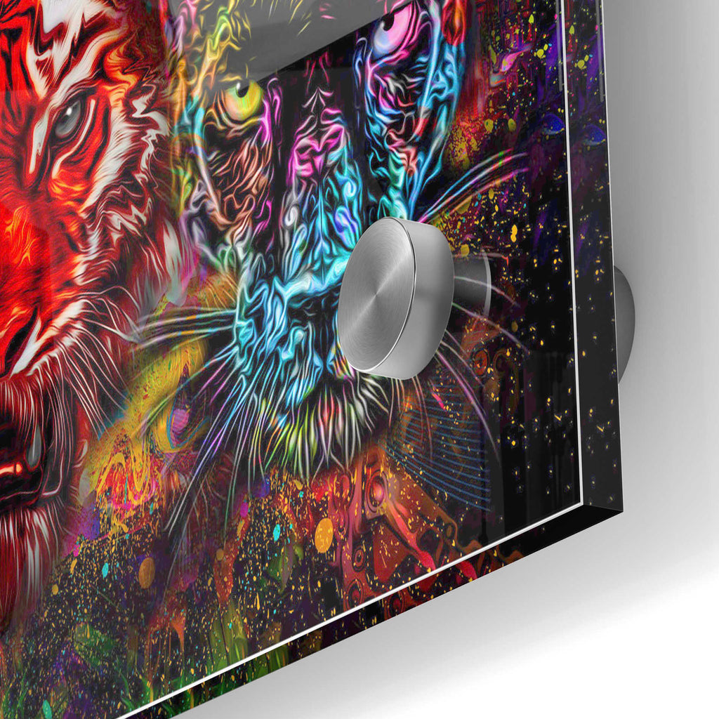 Epic Art 'Felis' Acrylic Glass Wall Art,24x36