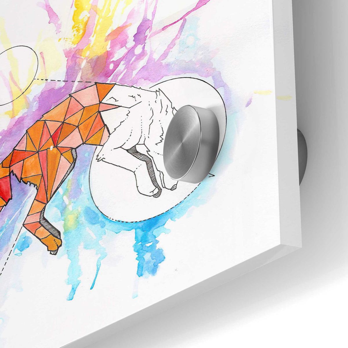 Epic Art 'Fox' by Craig Snodgrass, Acrylic Glass Wall Art,24x36