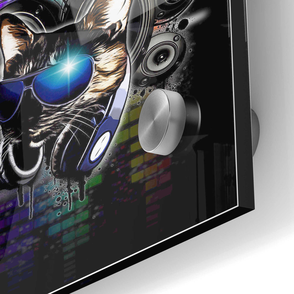 Epic Art 'Drop The Bass' by Nicklas Gustafsson, Acrylic Glass Wall Art,24x36