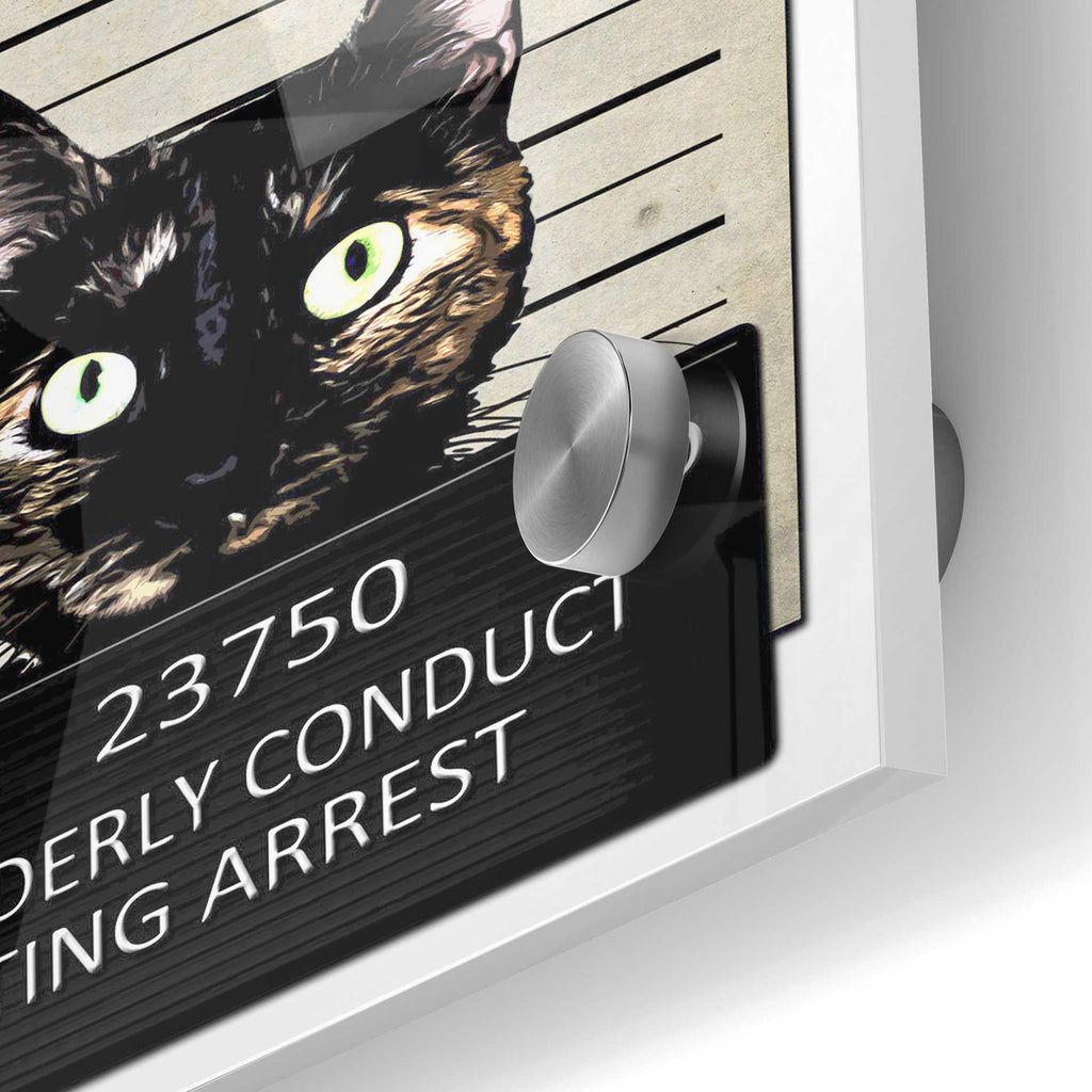 Epic Art 'Kitty Mugshot' by Nicklas Gustafsson, Acrylic Glass Wall Art,24x36