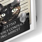Epic Art 'Kitty Mugshot' by Nicklas Gustafsson, Acrylic Glass Wall Art,24x36