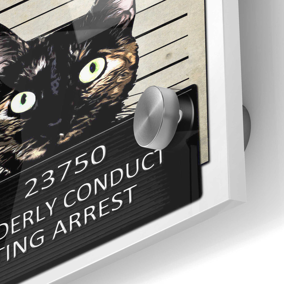 Epic Art 'Kitty Mugshot' by Nicklas Gustafsson, Acrylic Glass Wall Art,24x36