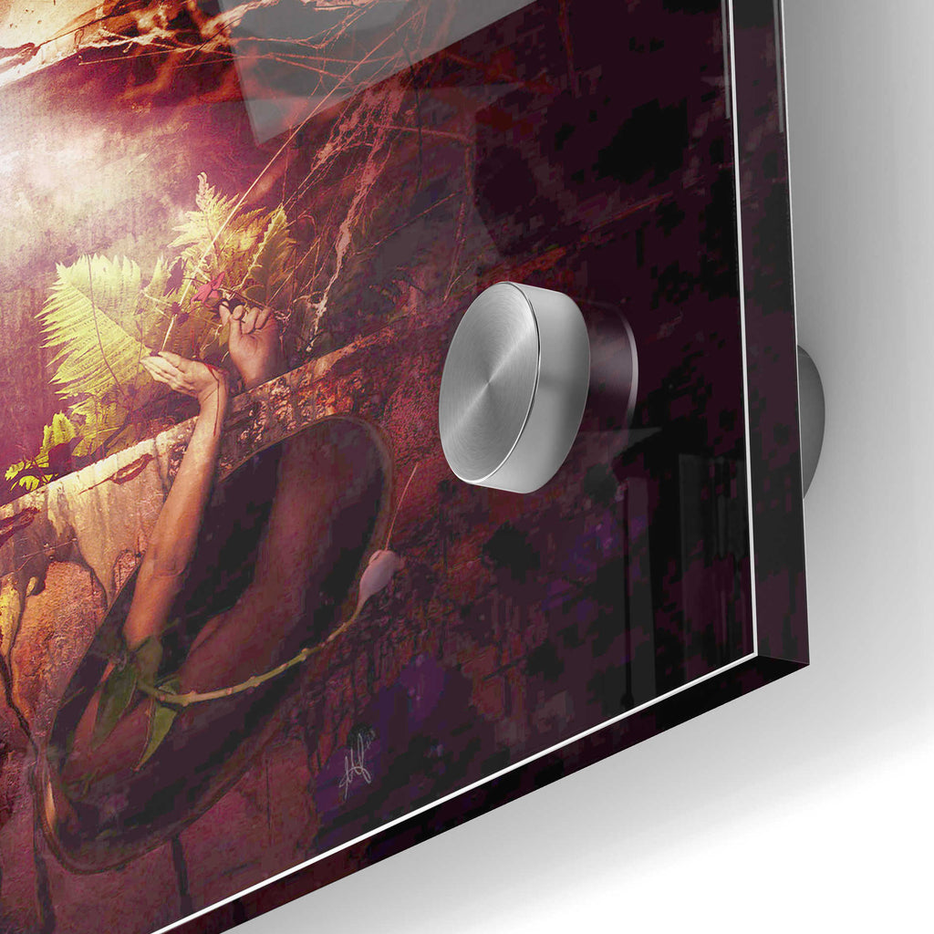 Epic Art 'Flowers' by Mario Sanchez Nevado, Acrylic Glass Wall Art,24x36