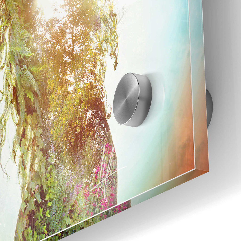 Epic Art 'Wisdom' by Mario Sanchez Nevado, Acrylic Glass Wall Art,24x36