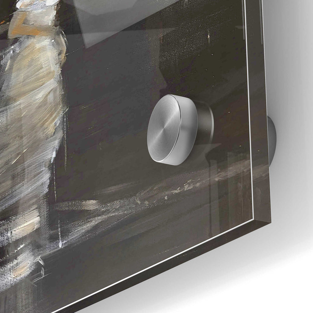 Epic Art 'Runaway' by Oscar Alvarez Pardo, Acrylic Glass Wall Art,24x36
