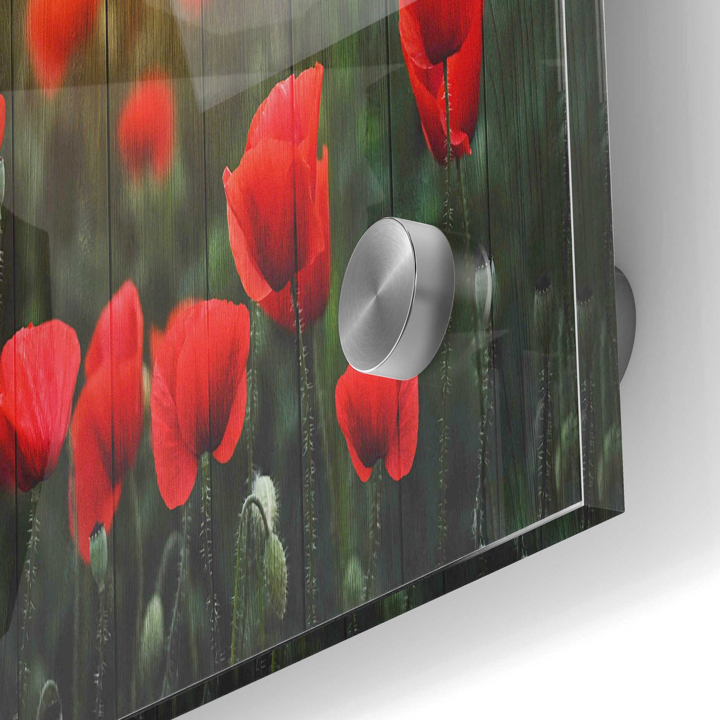 Epic Art "Wood Series: Field of Poppies" Acrylic Glass Wall Art,24x36