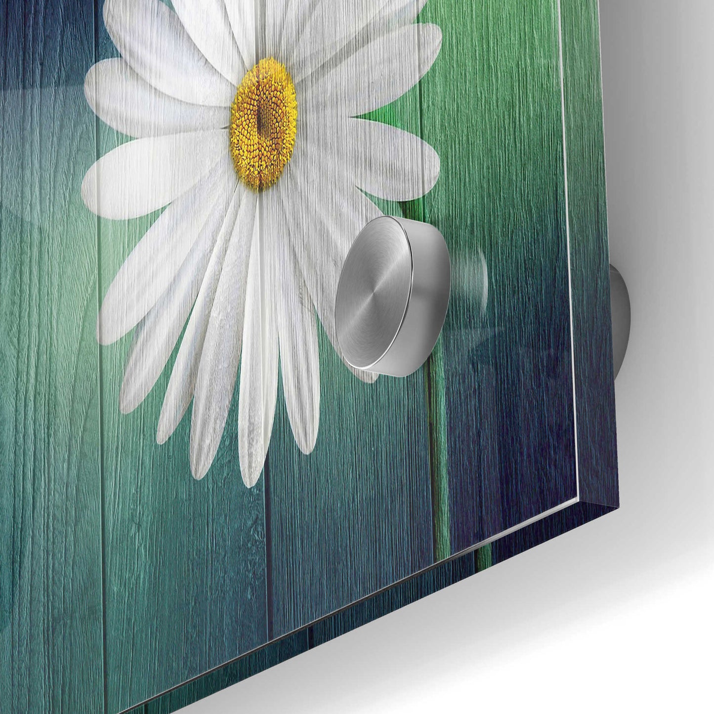 Epic Art "Wood Series: A Daisy" Acrylic Glass Wall Art,24x36