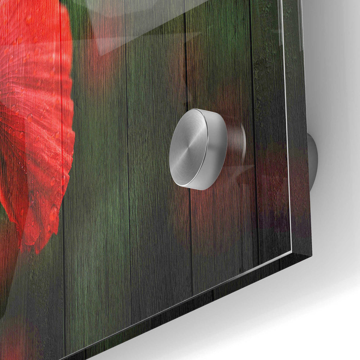 Epic Art "Wood Series: A Red Poppy" Acrylic Glass Wall Art,24x36