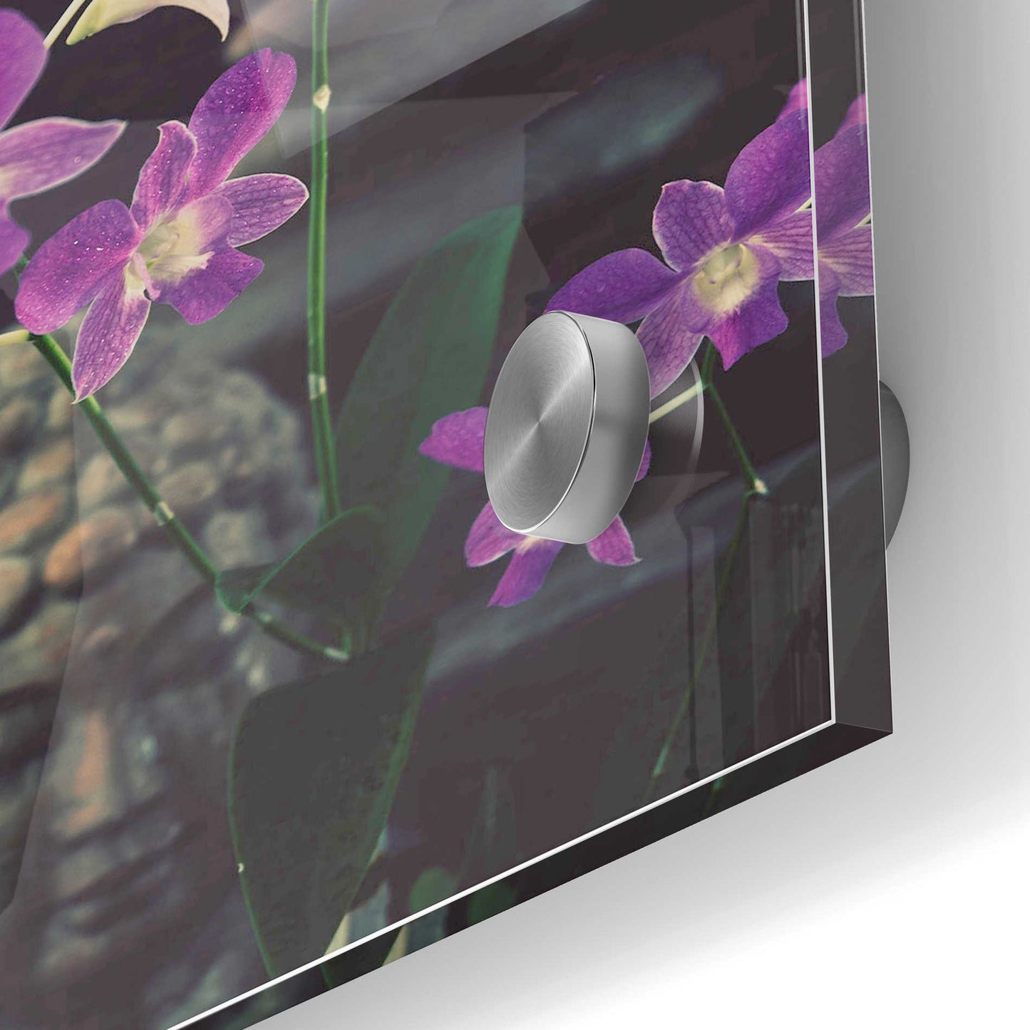 Epic Art 'Zen Purple Orchids' by Elena Ray Acrylic Glass Wall Art,24x36