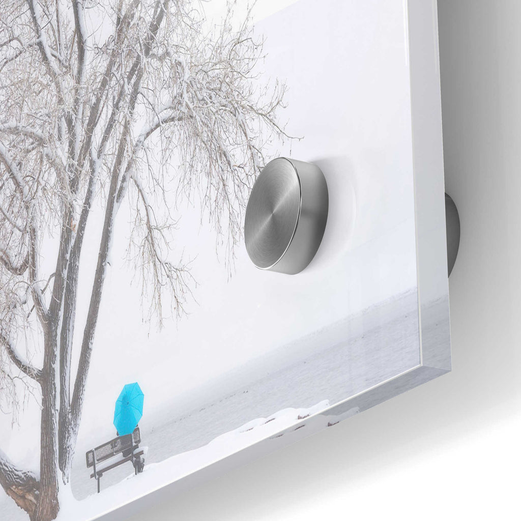 Epic Art "Another Winter Alone" by Darren White, Acrylic Glass Wall Art,24x36