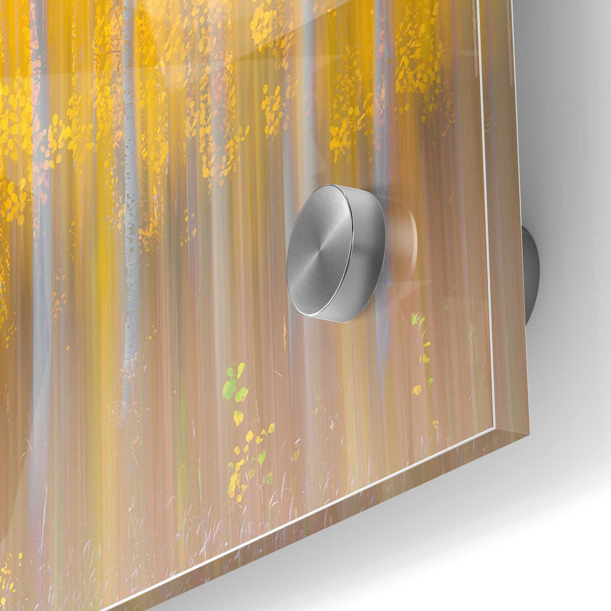 Epic Art "Changing Seasons" by Darren White, Acrylic Glass Wall Art,24x36