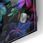 Epic Art "Frosty Fall" by Darren White, Acrylic Glass Wall Art,24x36