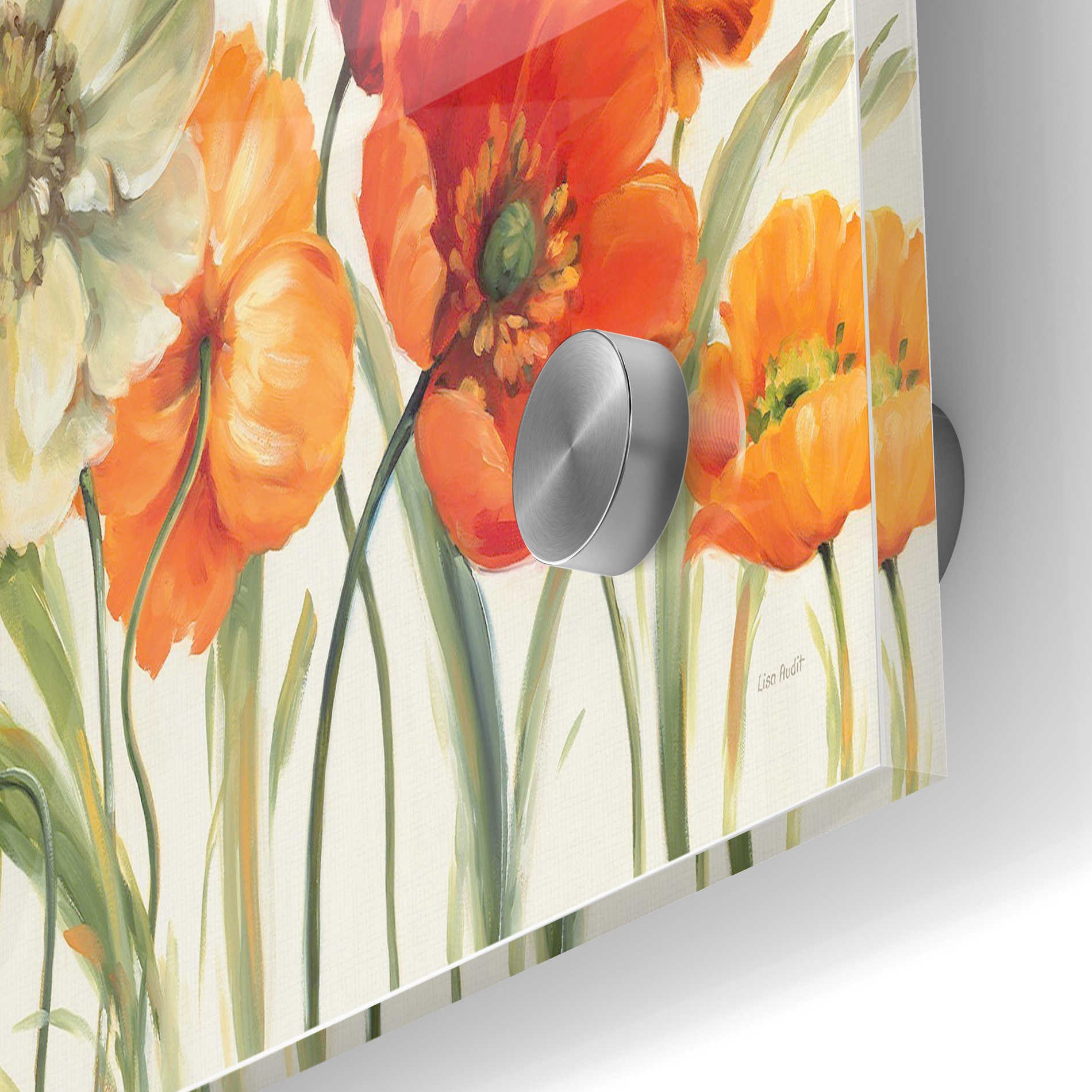 Epic Art 'Poppies Melody I' by Lisa Audit, Acrylic Glass Wall Art,24x36
