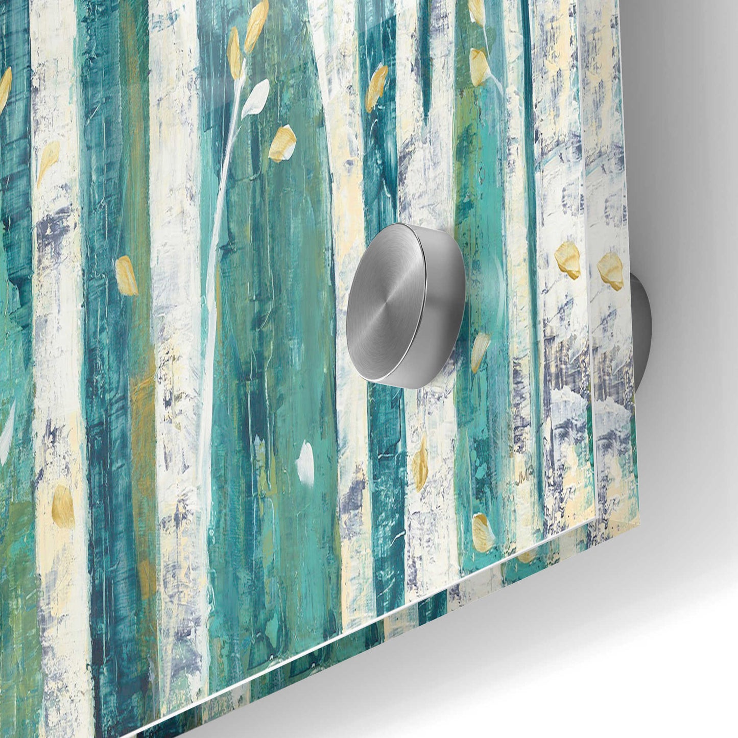 Epic Art 'Birches in Spring' by Julia Purinton, Acrylic Glass Wall Art,24x36