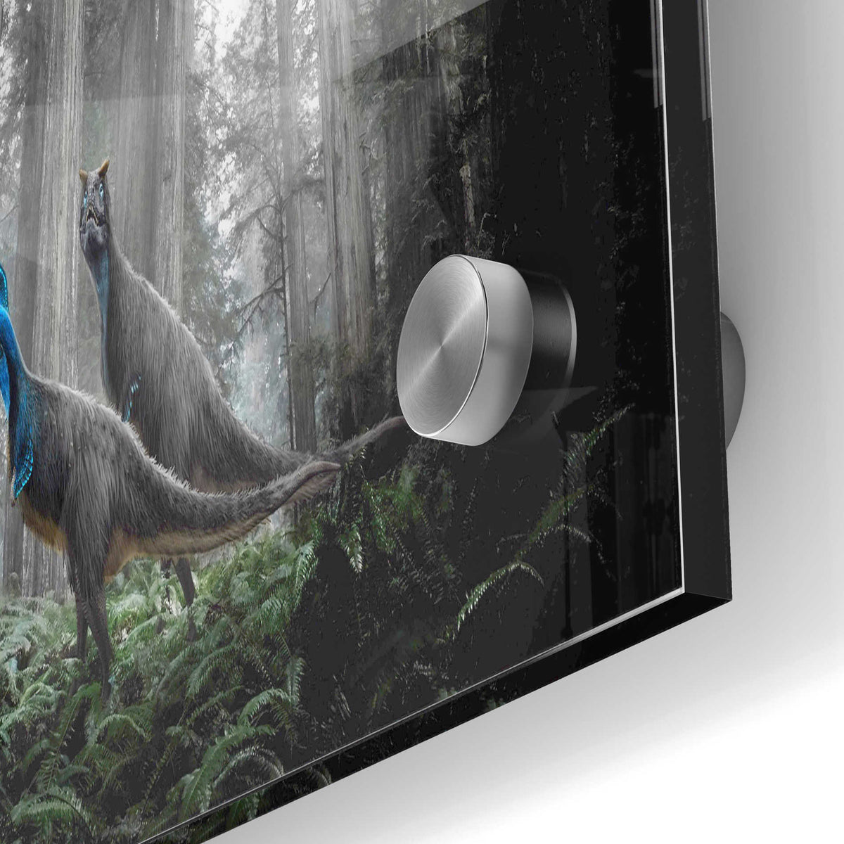 Epic Art 'Breeding Season' Acrylic Glass Wall Art,24x36