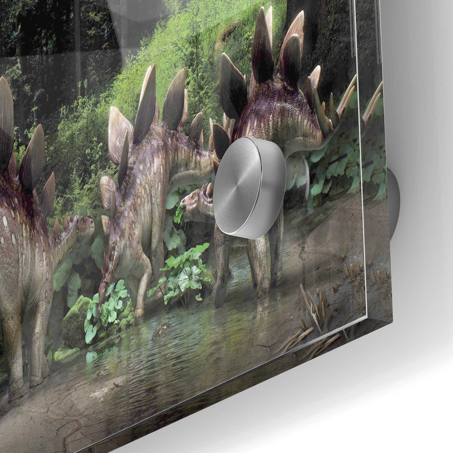 Epic Art 'Stegosaurus Family' Acrylic Glass Wall Art,24x36