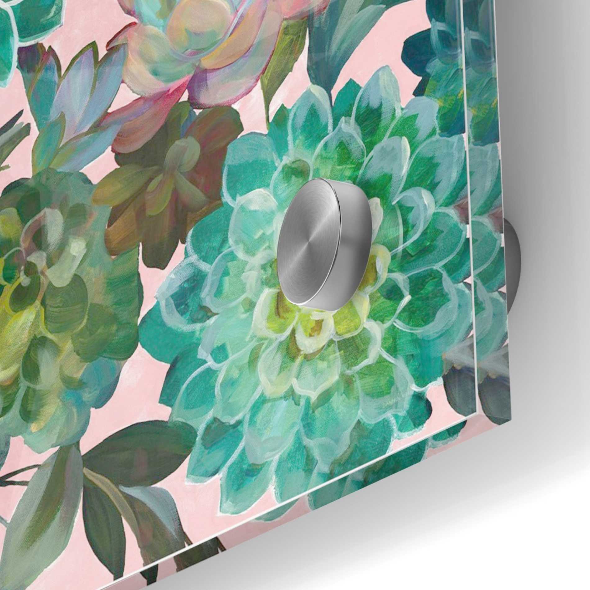 Epic Art 'Floral Succulents v2 Crop on Pink' by Danhui Nai, Acrylic Glass Wall Art,36x36