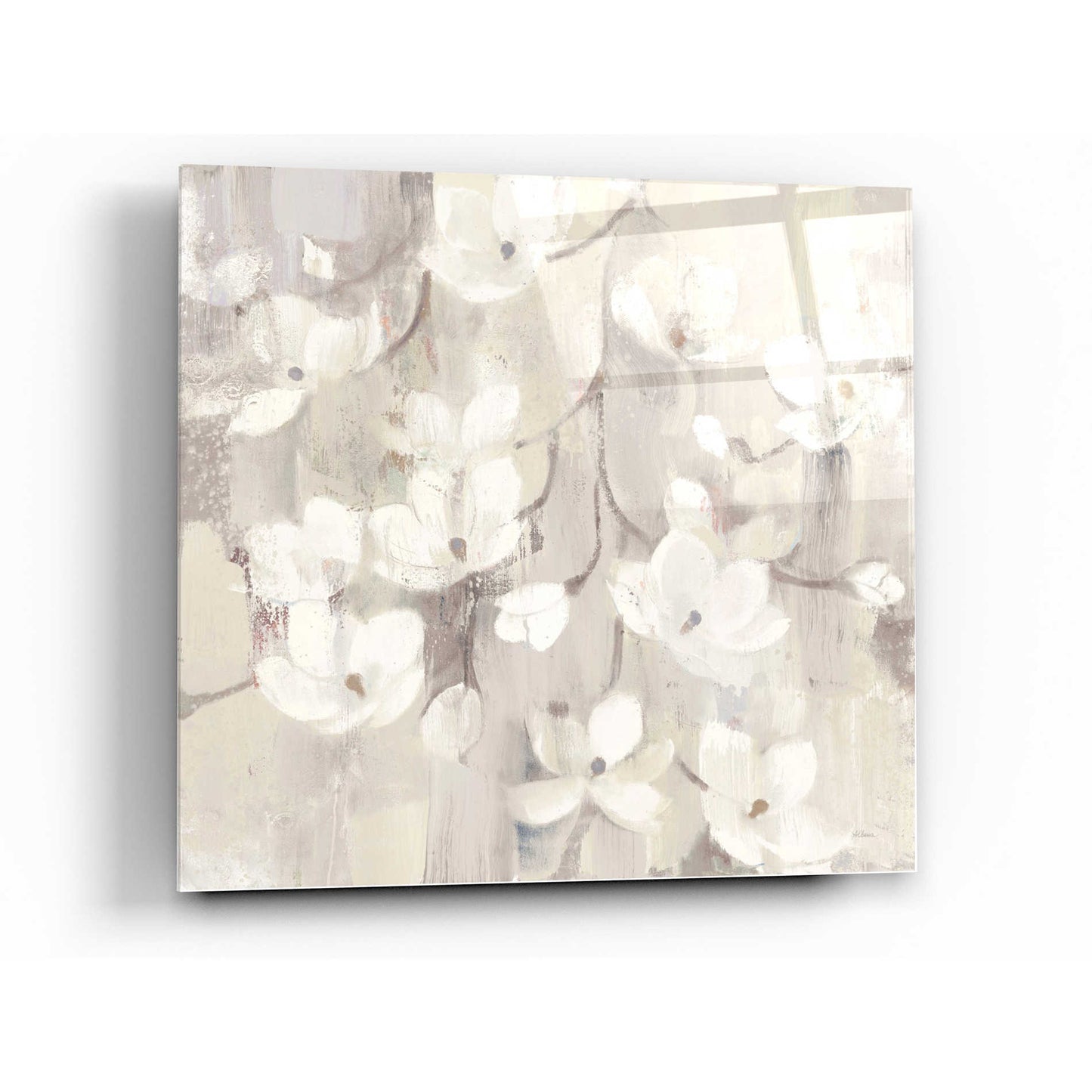 Epic Art 'Magnolias in Spring II Neutral' by Albena Hristova, Acrylic Glass Wall Art,36x36