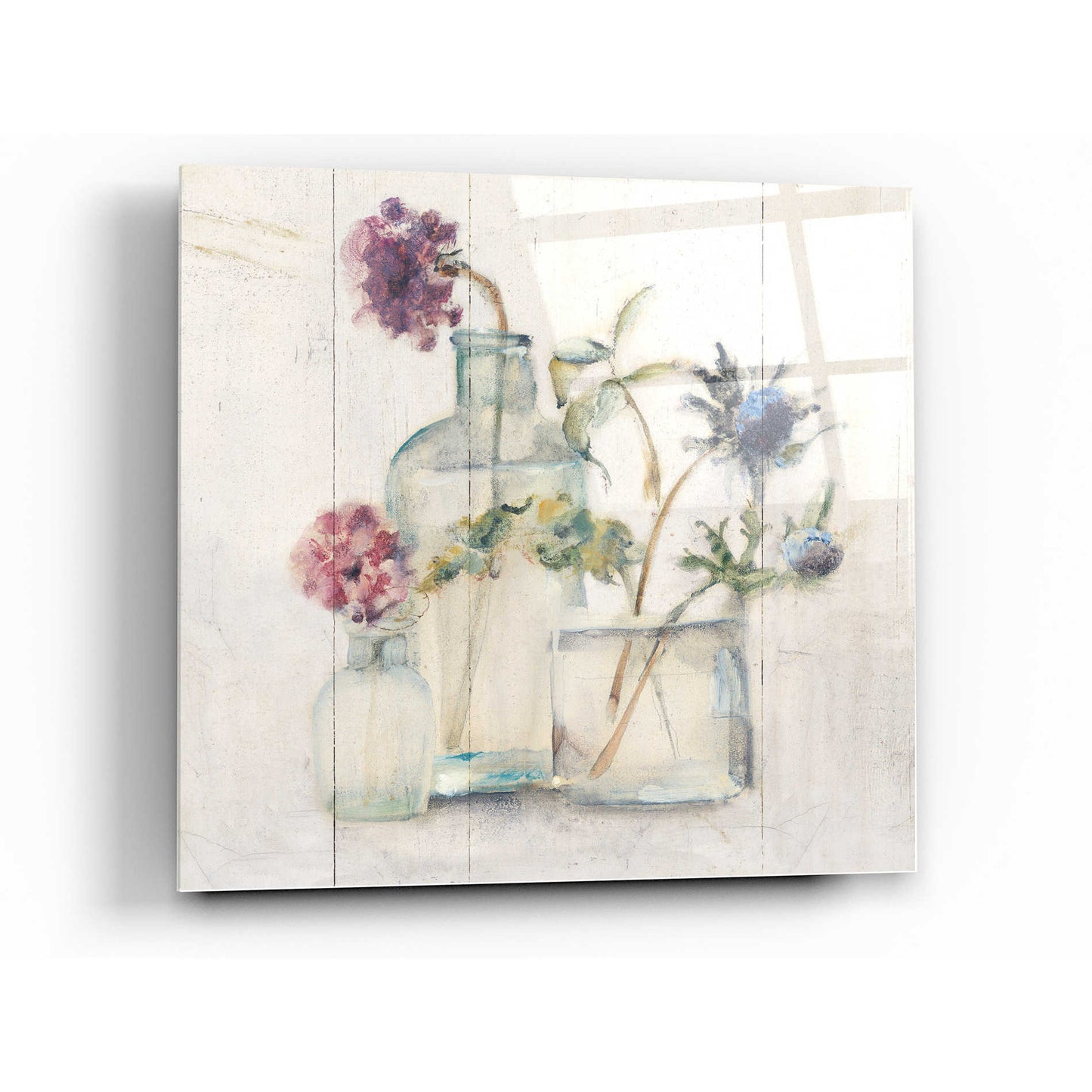 Epic Art 'Blossoms on Birch II' by Cheri Blum, Acrylic Glass Wall Art,36x36