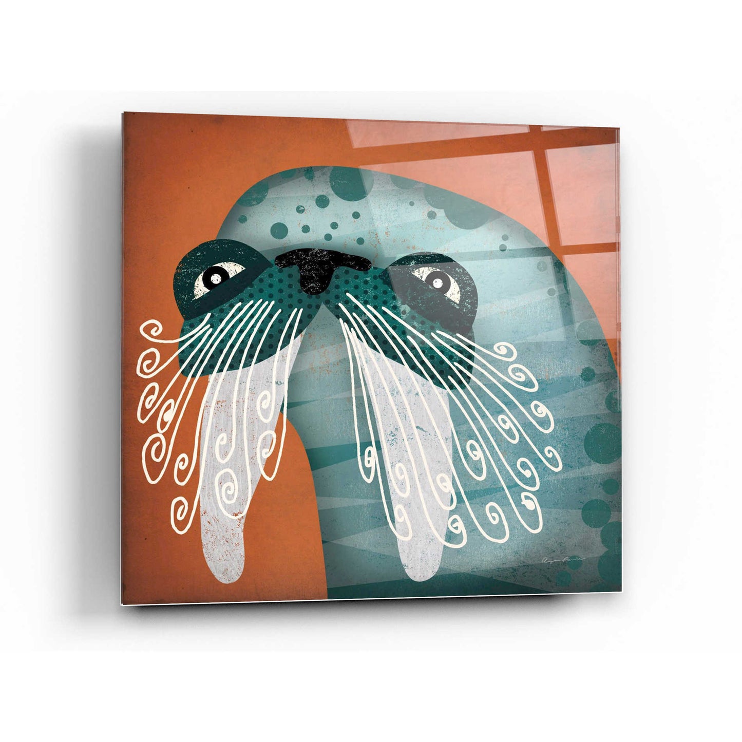 Epic Art 'Walrus Wow' by Ryan Fowler, Acrylic Glass Wall Art,36x36