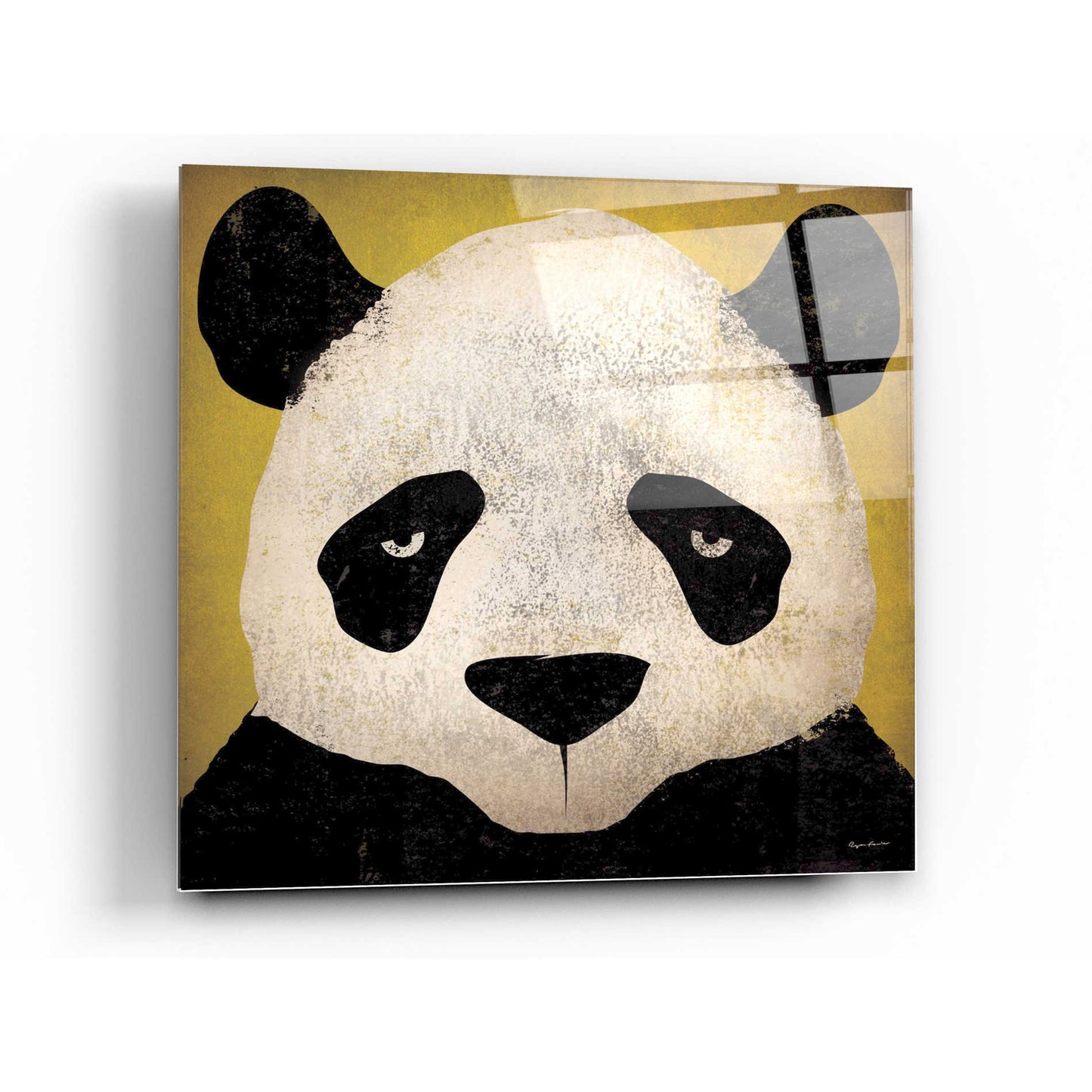 Epic Art 'Panda' by Ryan Fowler, Acrylic Glass Wall Art,36x36