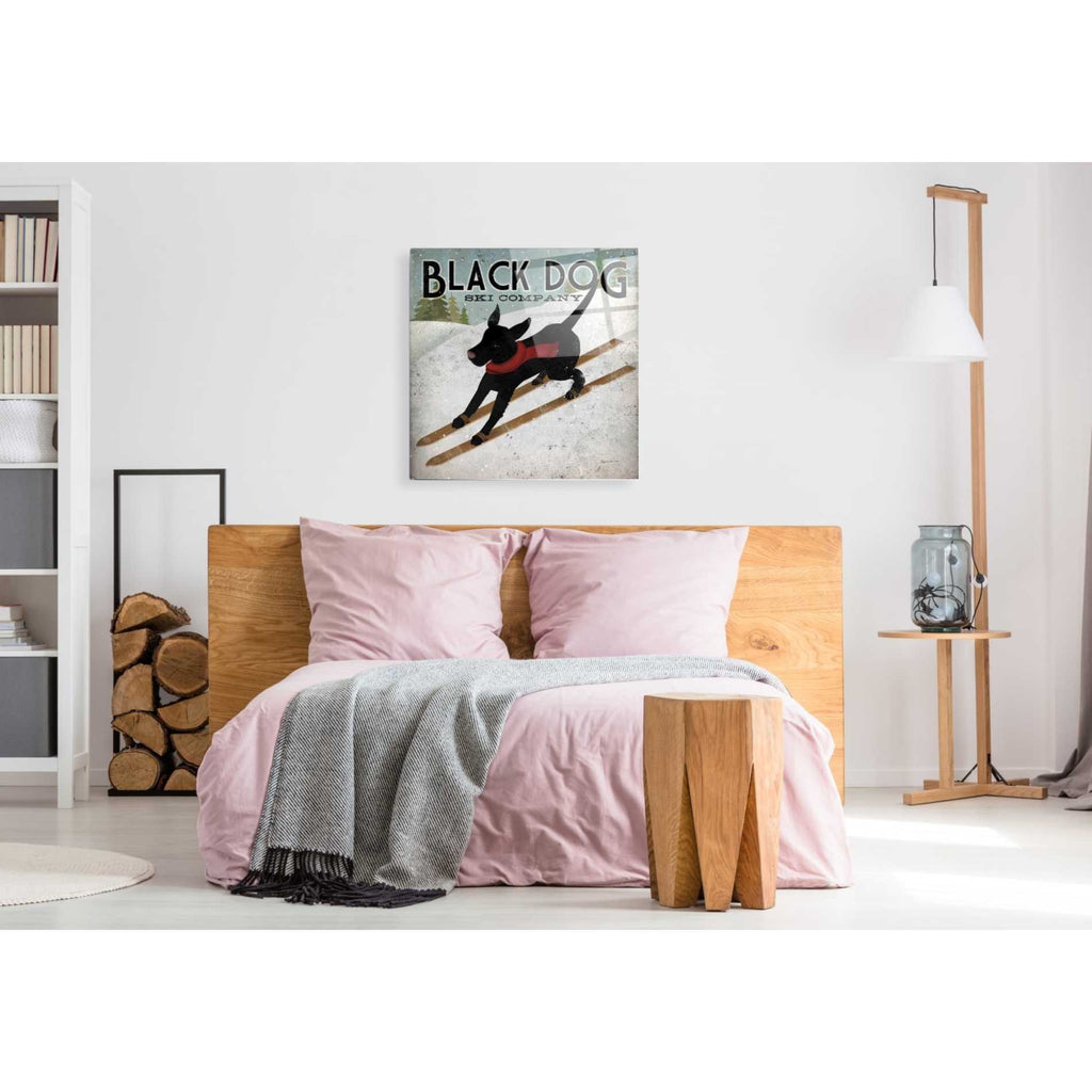 Epic Art 'Black Dog Ski' by Ryan Fowler, Acrylic Glass Wall Art,36x36