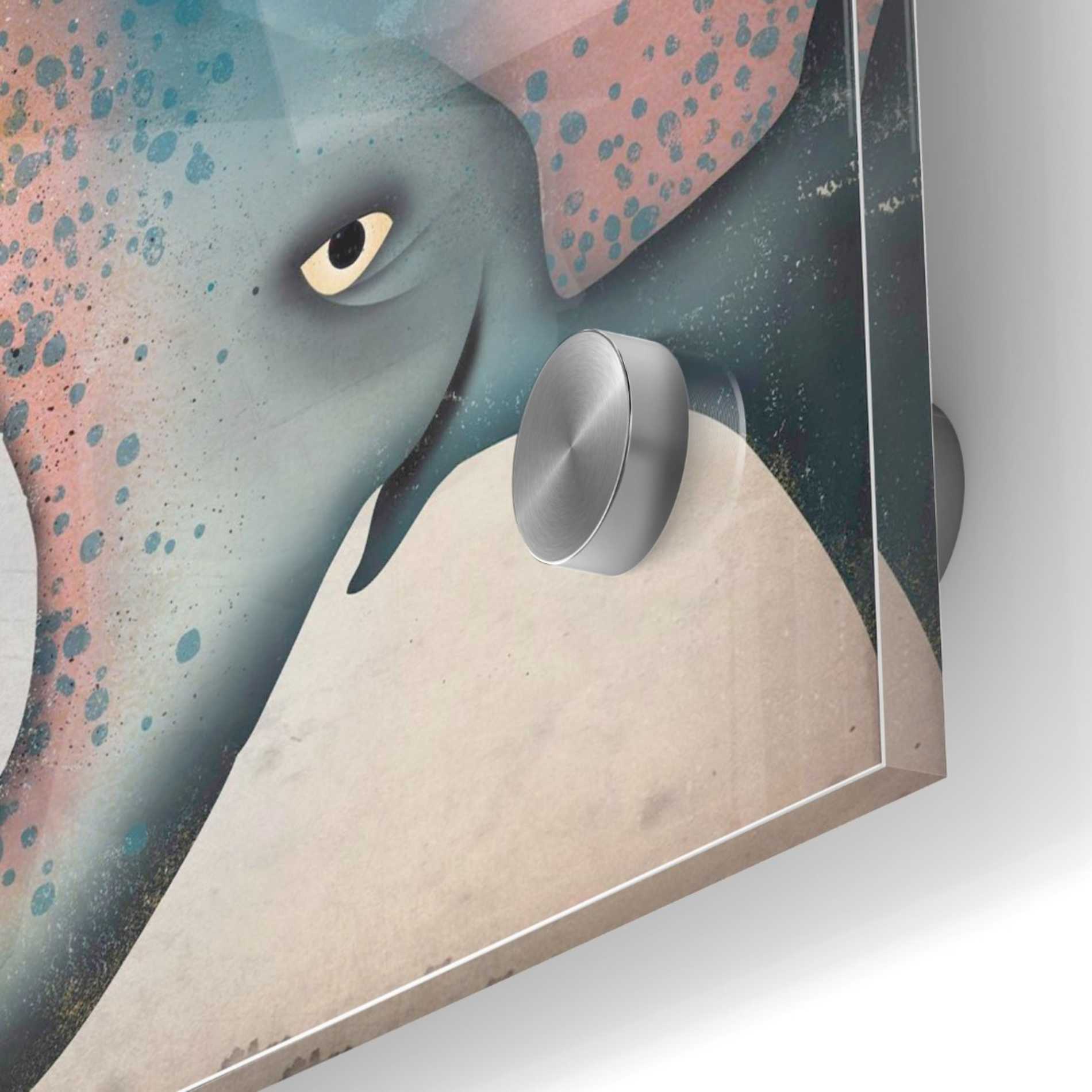Epic Art 'Elephant Wow II' by Ryan Fowler, Acrylic Glass Wall Art,36x36