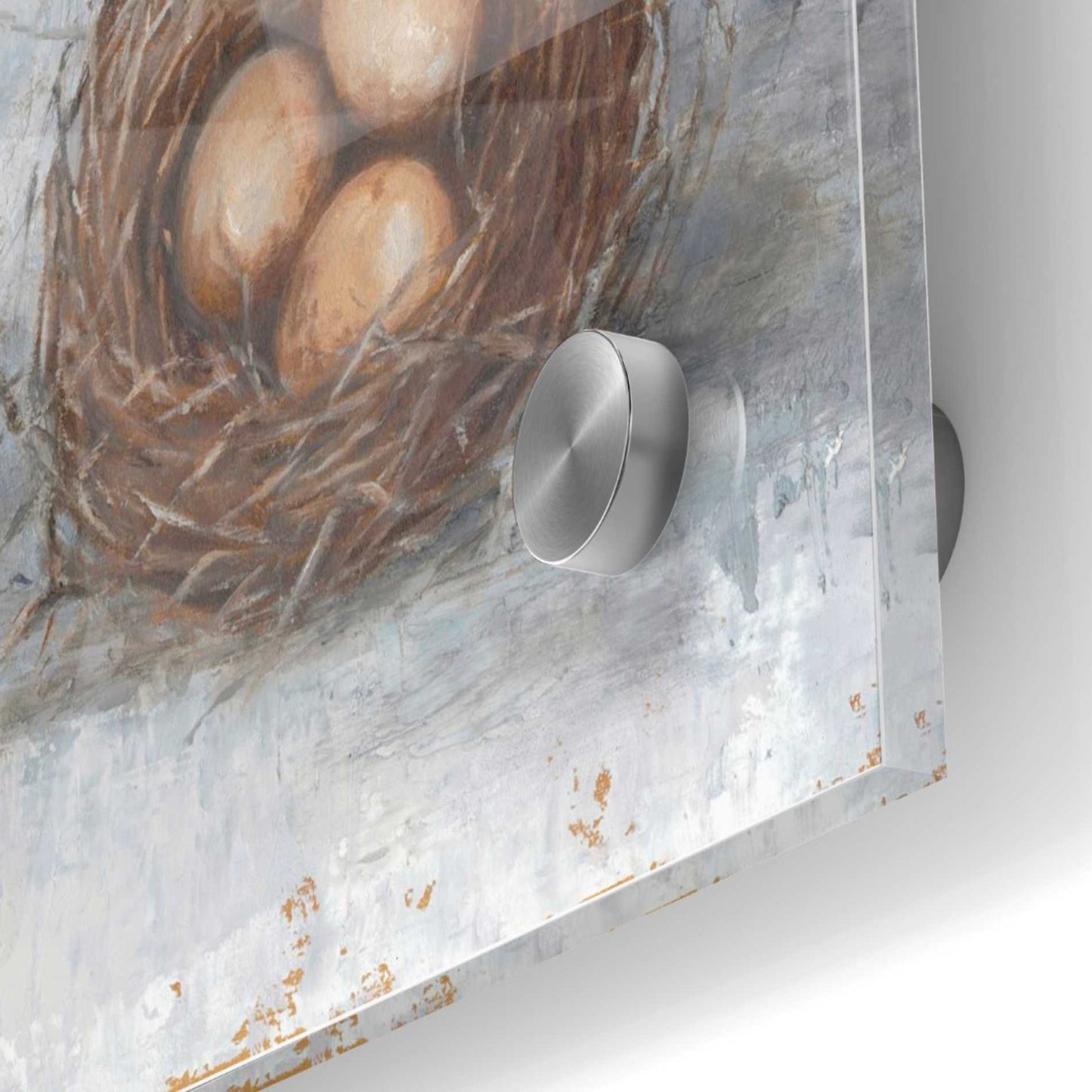 Epic Art 'Rustic Bird Nest II' by Ethan Harper Acrylic Glass Wall Art,36x36
