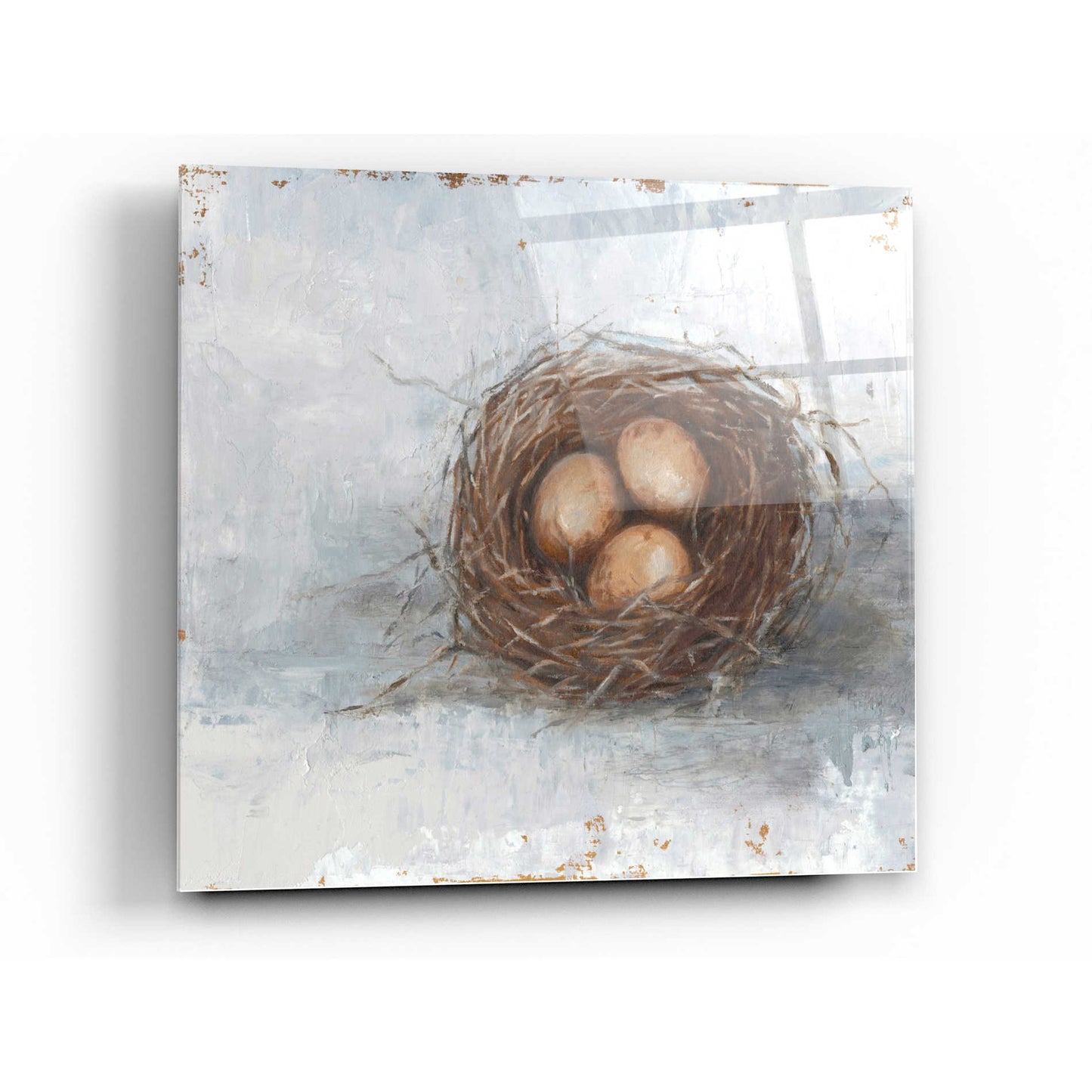 Epic Art 'Rustic Bird Nest II' by Ethan Harper Acrylic Glass Wall Art,36x36