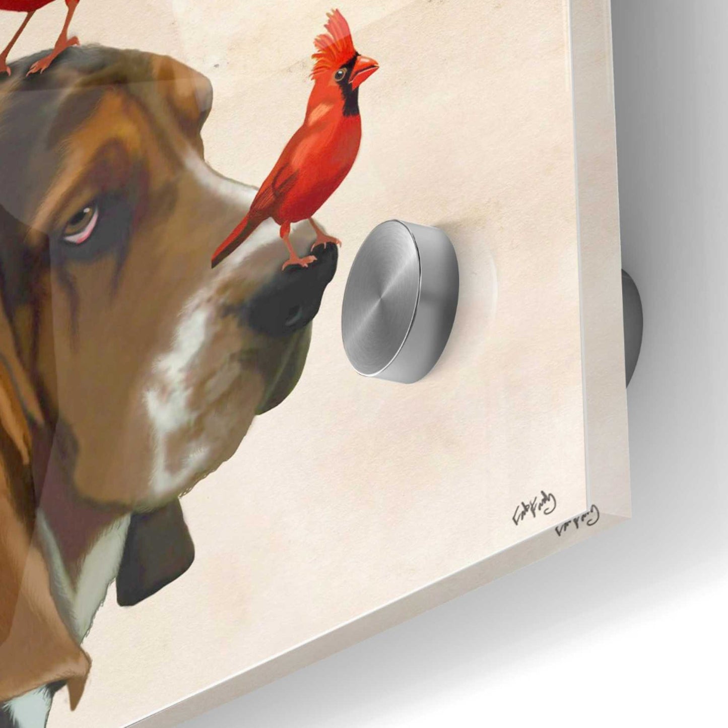 Epic Art 'Basset Hound and Birds' by Fab Funky Acrylic Glass Wall Art,36x36