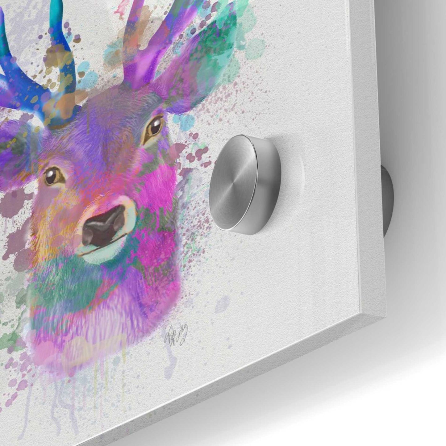 Epic Art 'Deer Head 1 Rainbow Splash Pink and Purple' by Fab Funky Acrylic Glass Wall Art,36x36