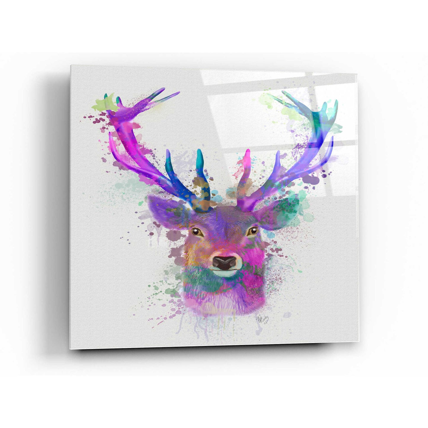 Epic Art 'Deer Head 1 Rainbow Splash Pink and Purple' by Fab Funky Acrylic Glass Wall Art,36x36