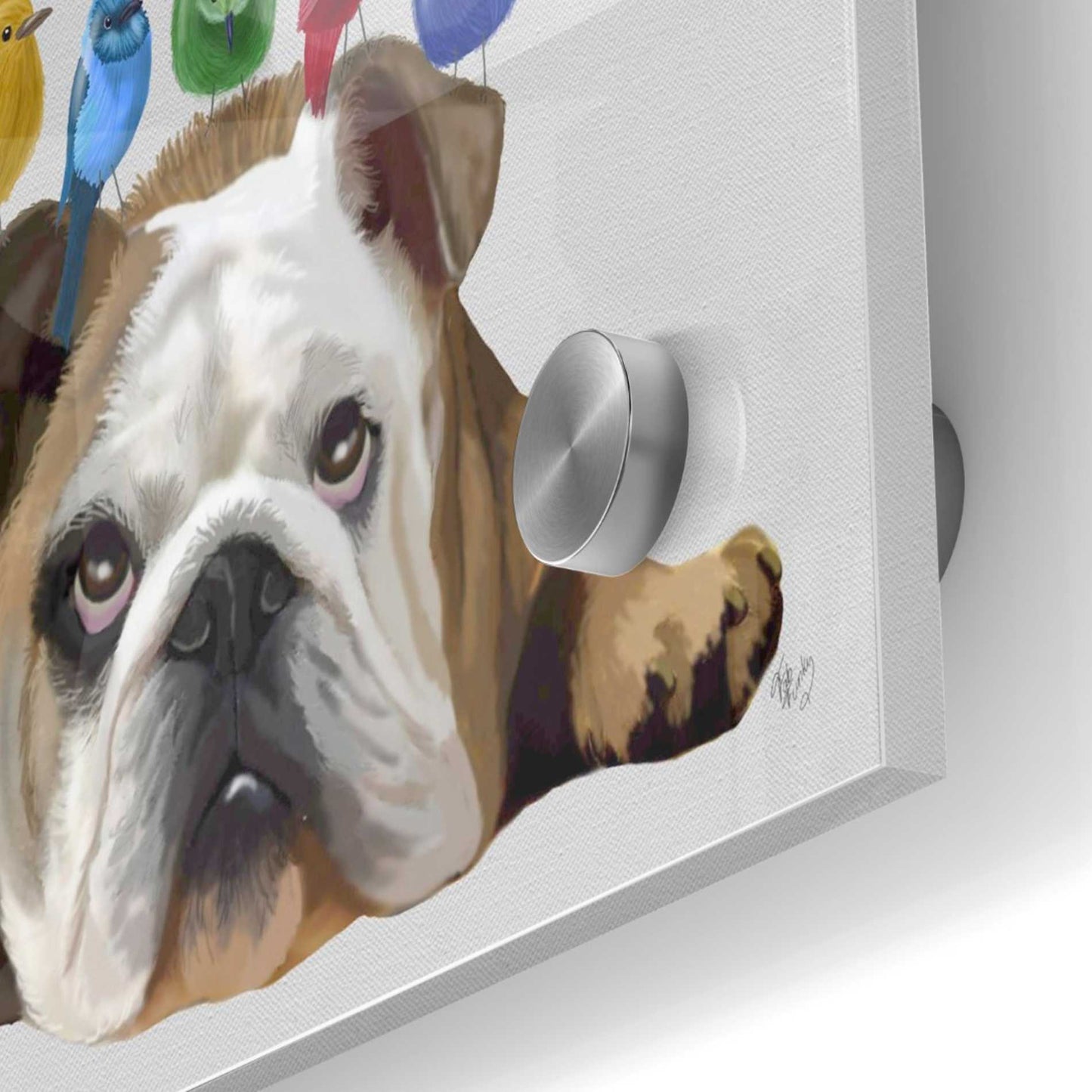 Epic Art 'English Bulldog and Birds' by Fab Funky Acrylic Glass Wall Art,36x36