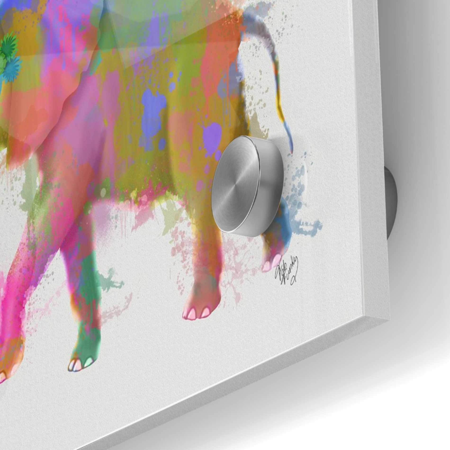 Epic Art 'Rainbow Splash Elephant' by Fab Funky Acrylic Glass Wall Art,36x36