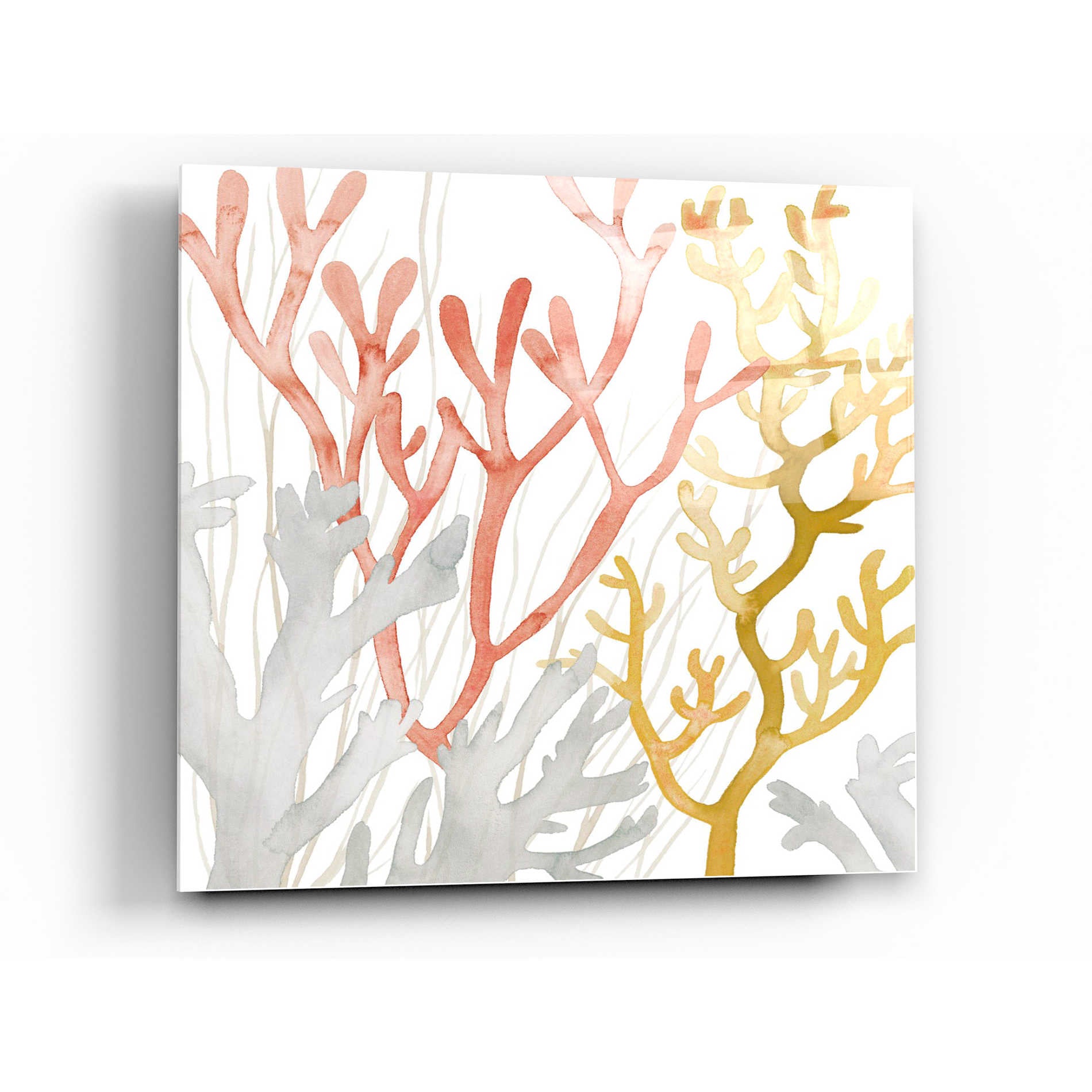 Epic Art 'Desert Coral I' by Grace Popp Acrylic Glass Wall Art,36x36