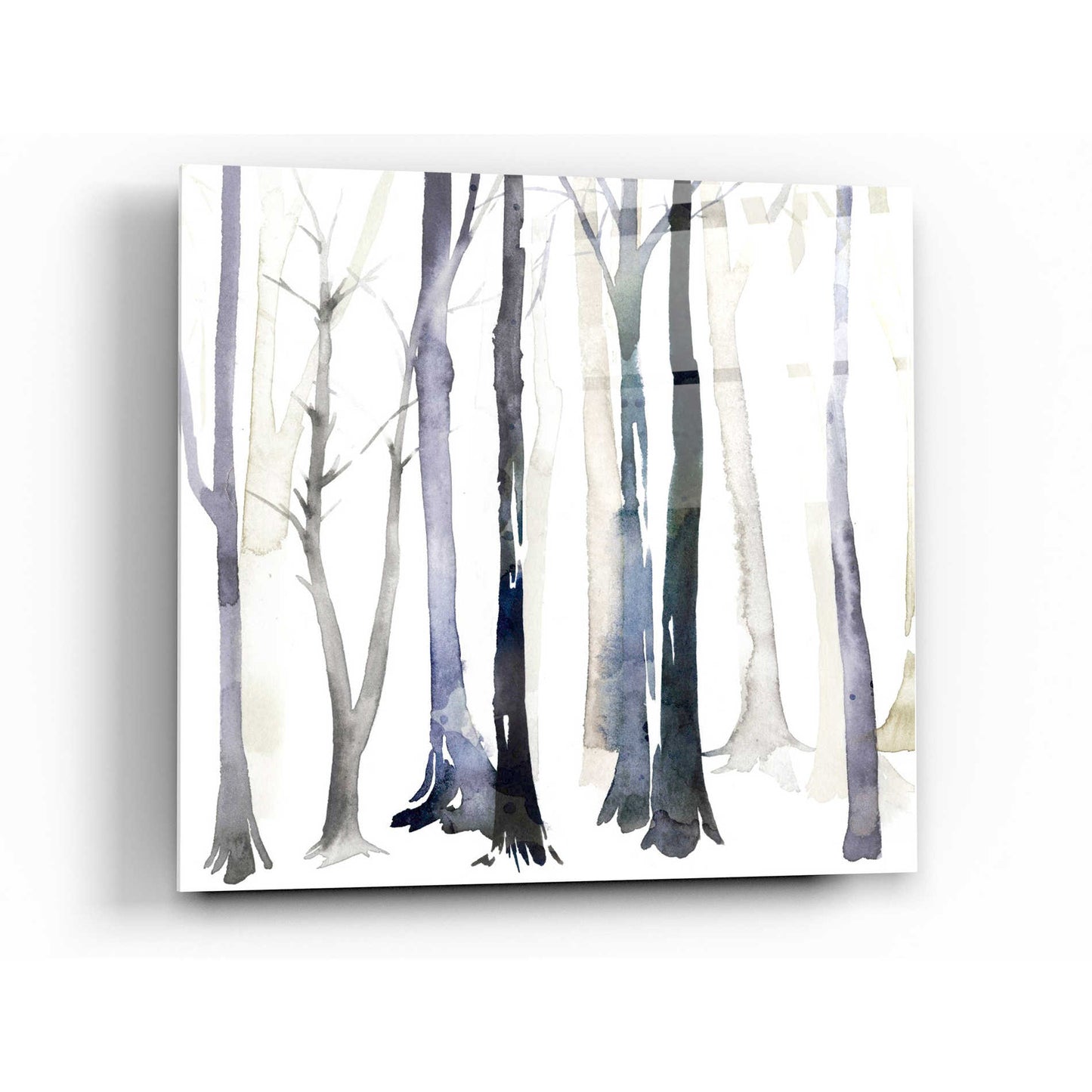 Epic Art 'In the Forest II' by Grace Popp Acrylic Glass Wall Art,36x36