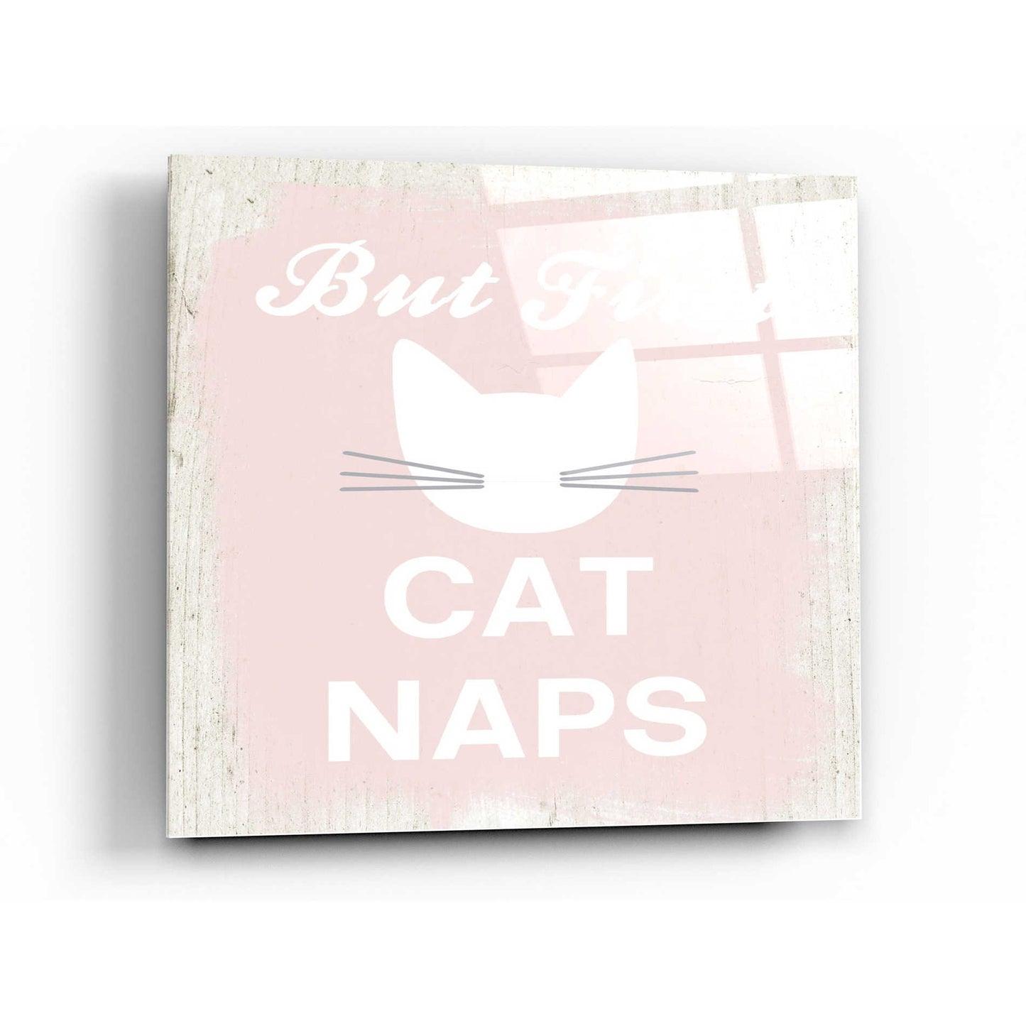 Epic Art 'But First Cat Naps' by Linda Woods, Acrylic Glass Wall Art,36x36