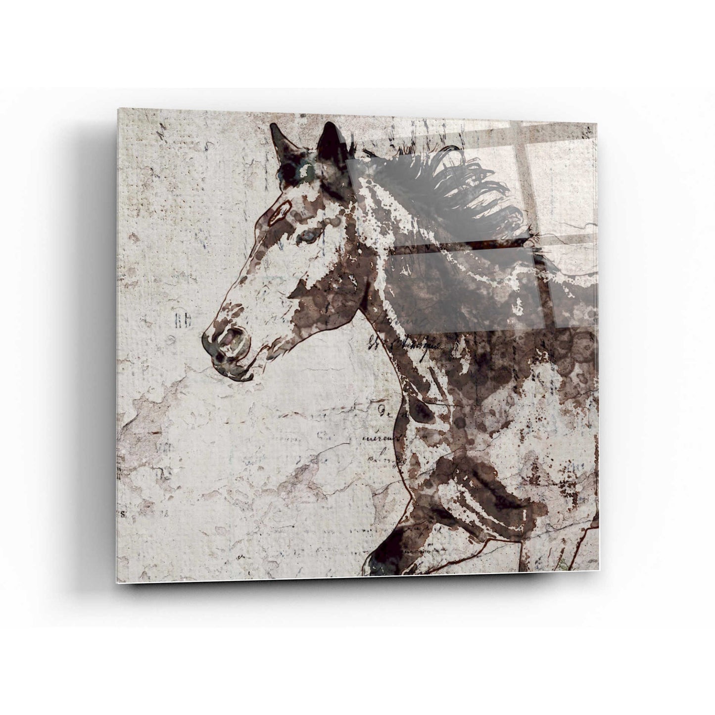 Epic Art 'Galloping Horse 2' by Irena Orlov, Acrylic Glass Wall Art,36x36