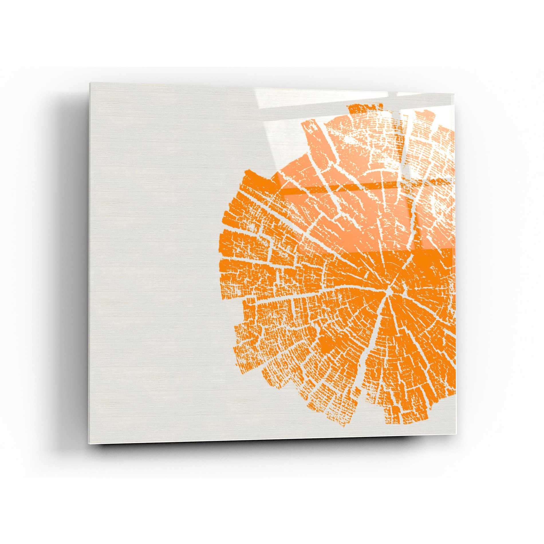 Epic Art 'Orange Slice' by Linda Woods, Acrylic Glass Wall Art,36x36