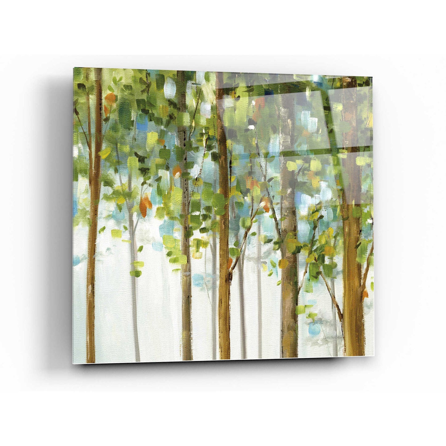 Epic Art 'Forest Study III' by Lisa Audit, Acrylic Glass Wall Art,36x36