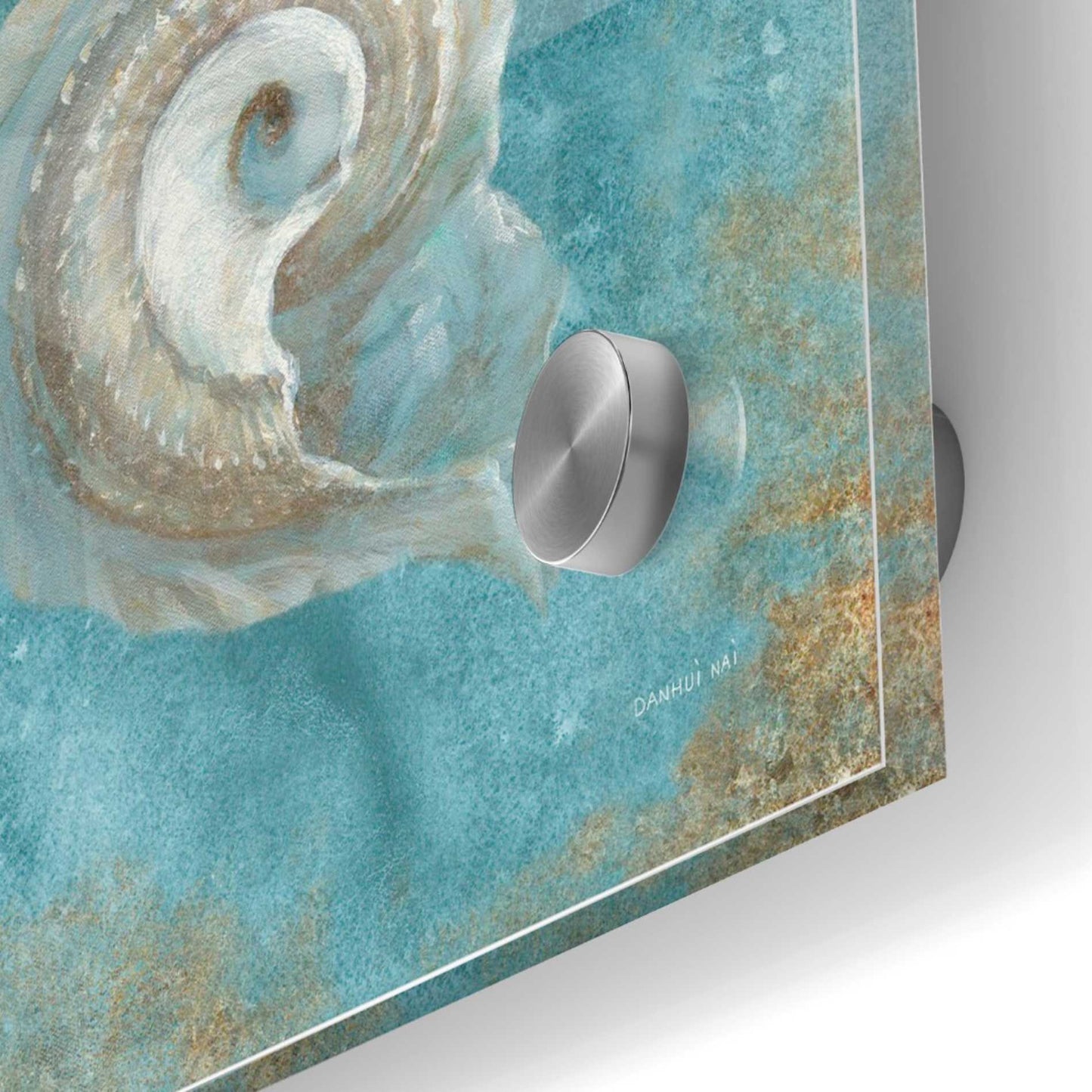 Epic Art 'Treasures From The Sea III' by Danhui Nai, Acrylic Glass Wall Art,36x36