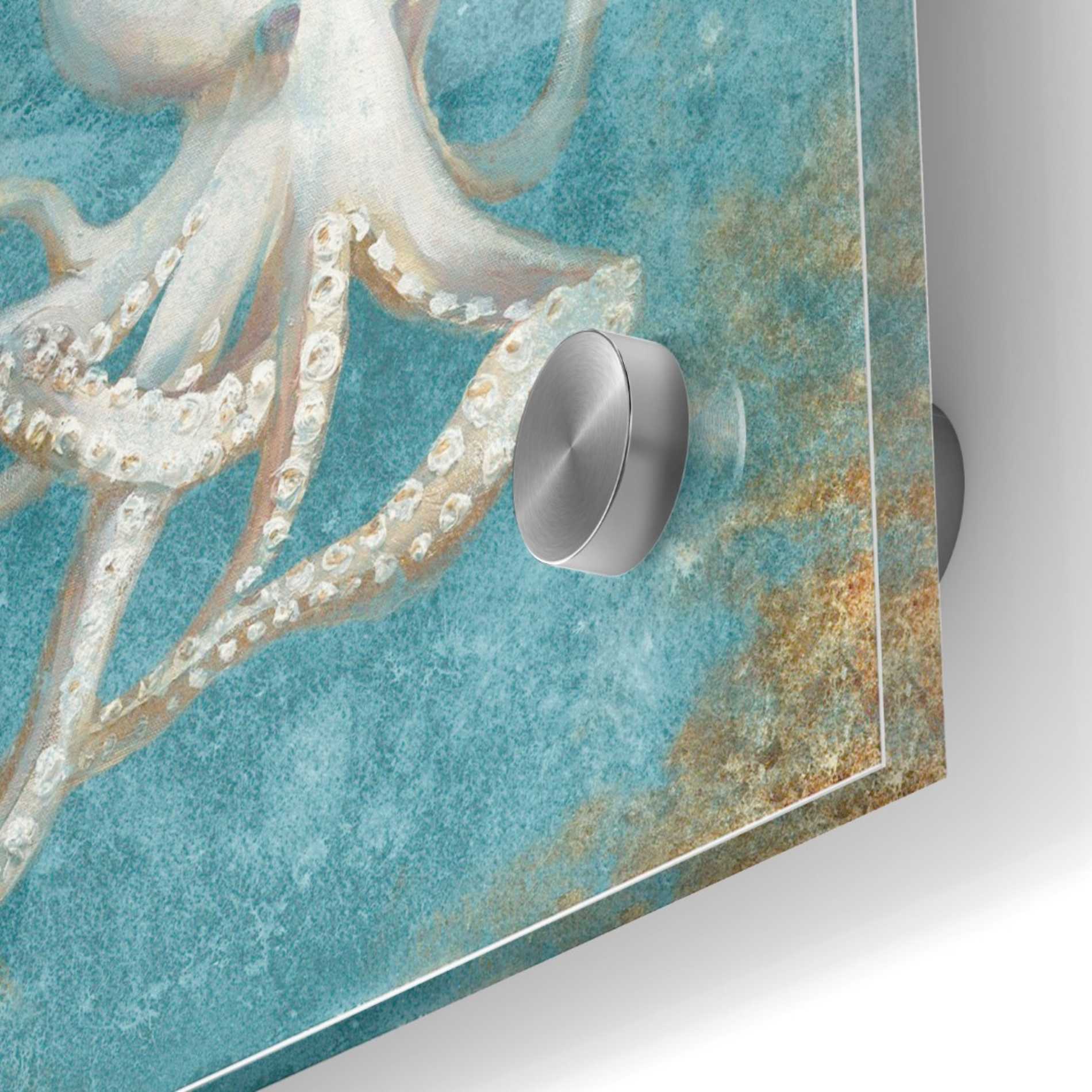 Epic Art 'Treasures From The Sea V' by Danhui Nai, Acrylic Glass Wall Art,36x36