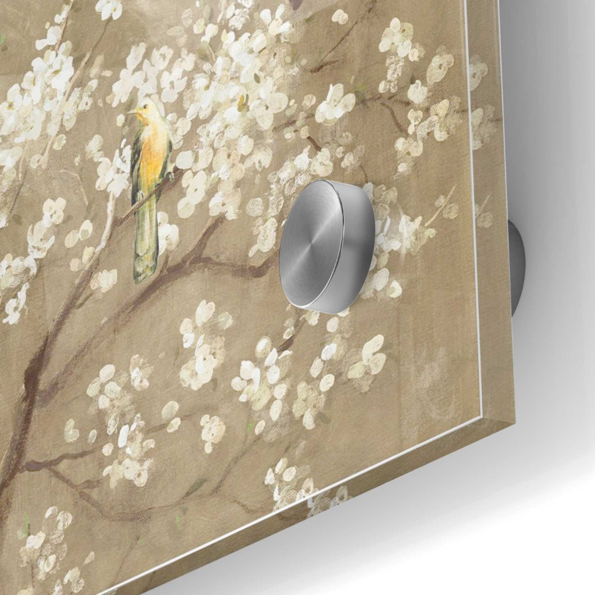 Epic Art 'White Cherry Blossom I Neutral' by Danhui Nai, Acrylic Glass Wall Art,36x36