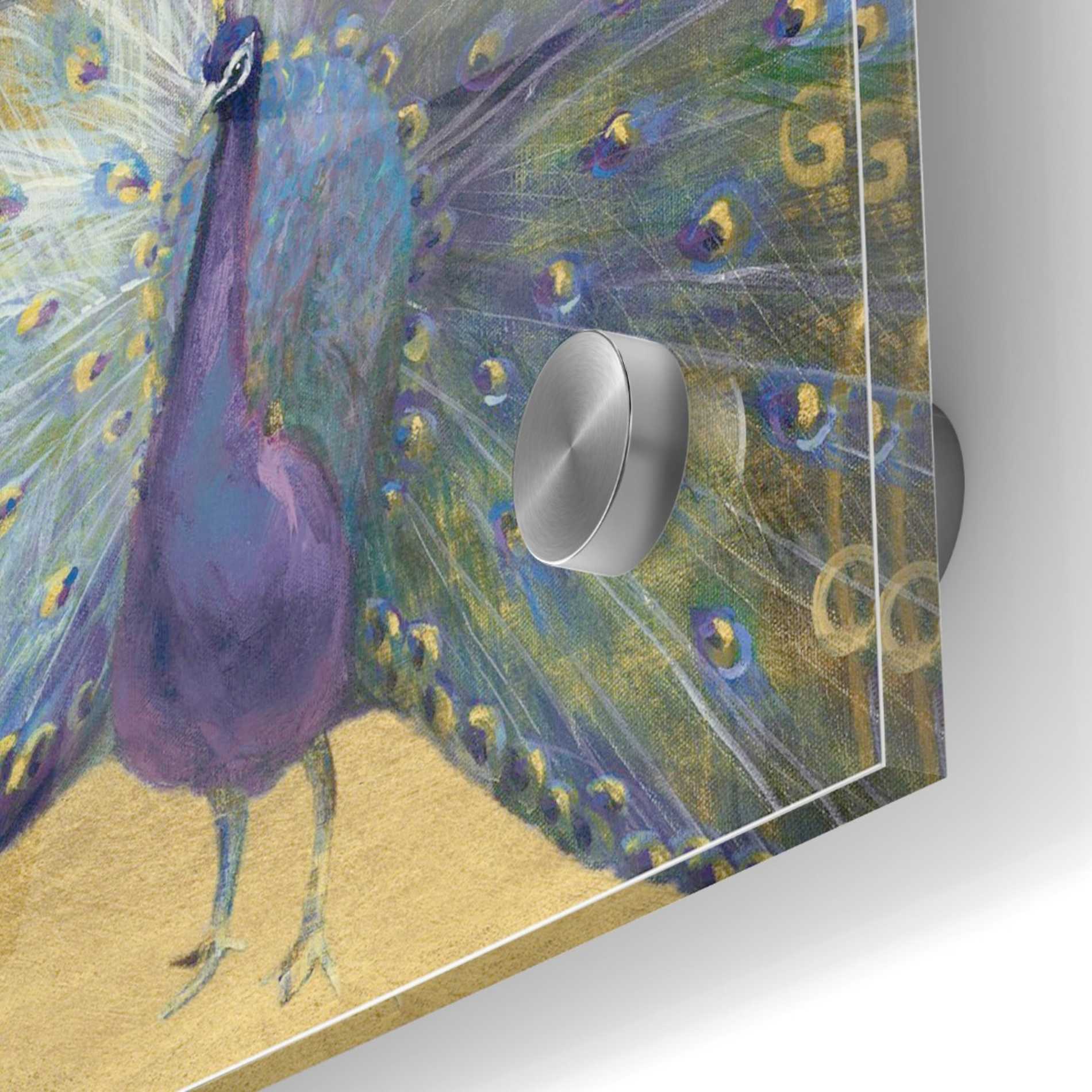 Epic Art 'Purple And Gold Peacock' by Danhui Nai, Acrylic Glass Wall Art,36x36