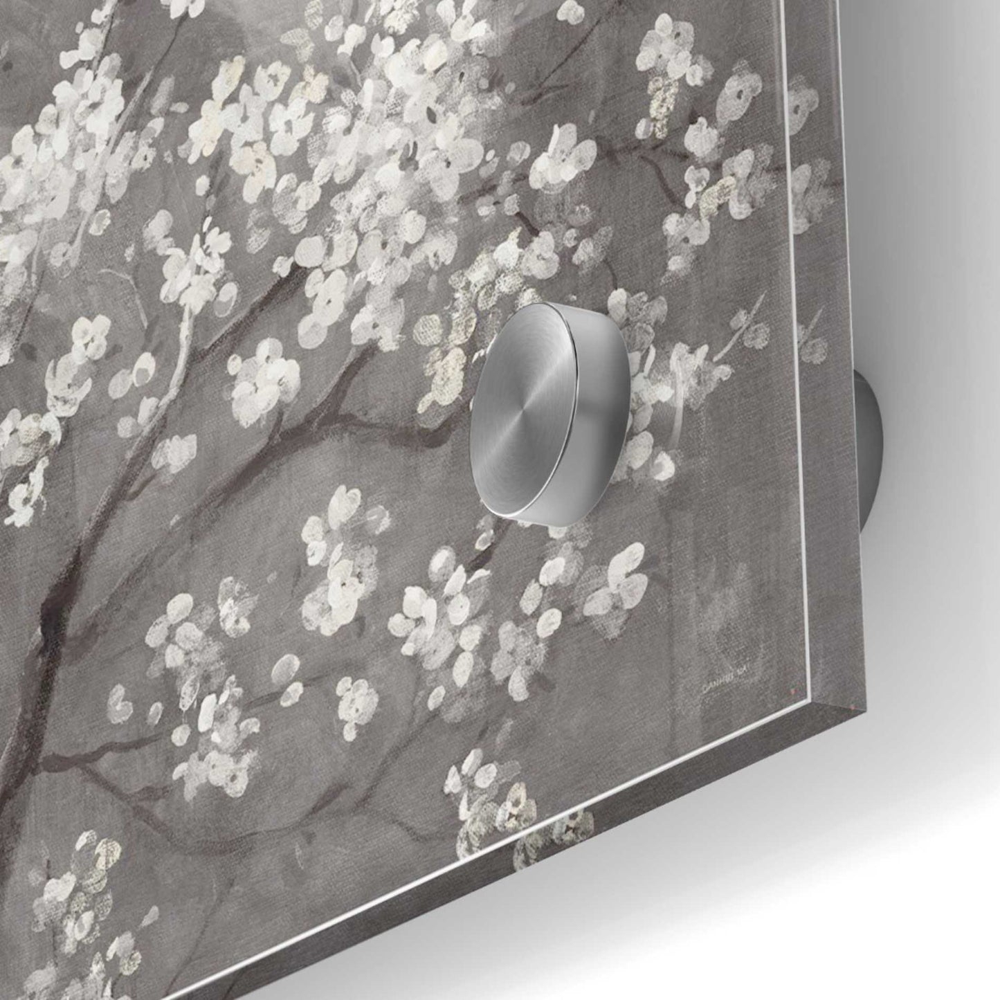 Epic Art 'White Cherry Blossom I on Grey' by Danhui Nai, Acrylic Glass Wall Art,36x36