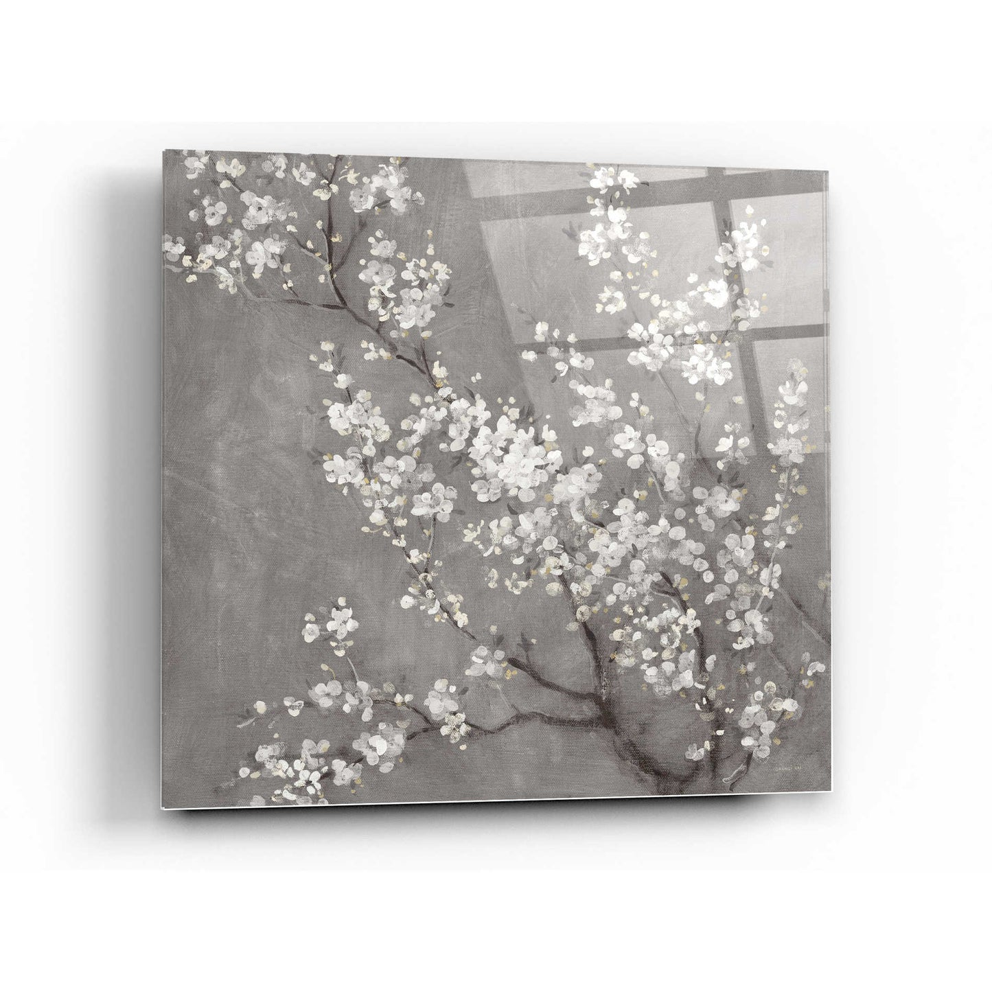 Epic Art 'White Cherry Blossom II on Grey' by Danhui Nai, Acrylic Glass Wall Art,36x36