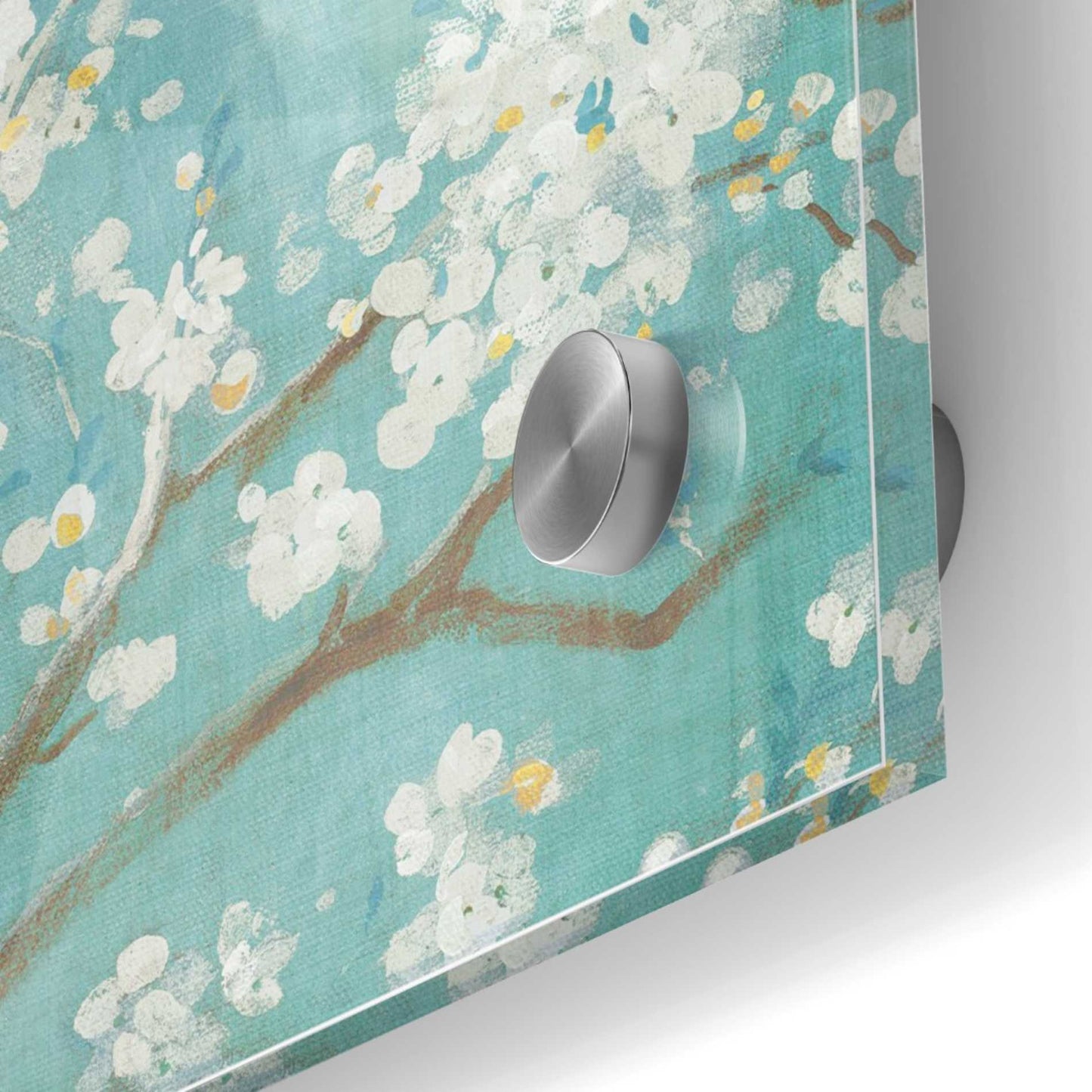 Epic Art 'White Cherry Blossom I on Blue' by Danhui Nai, Acrylic Glass Wall Art,36x36
