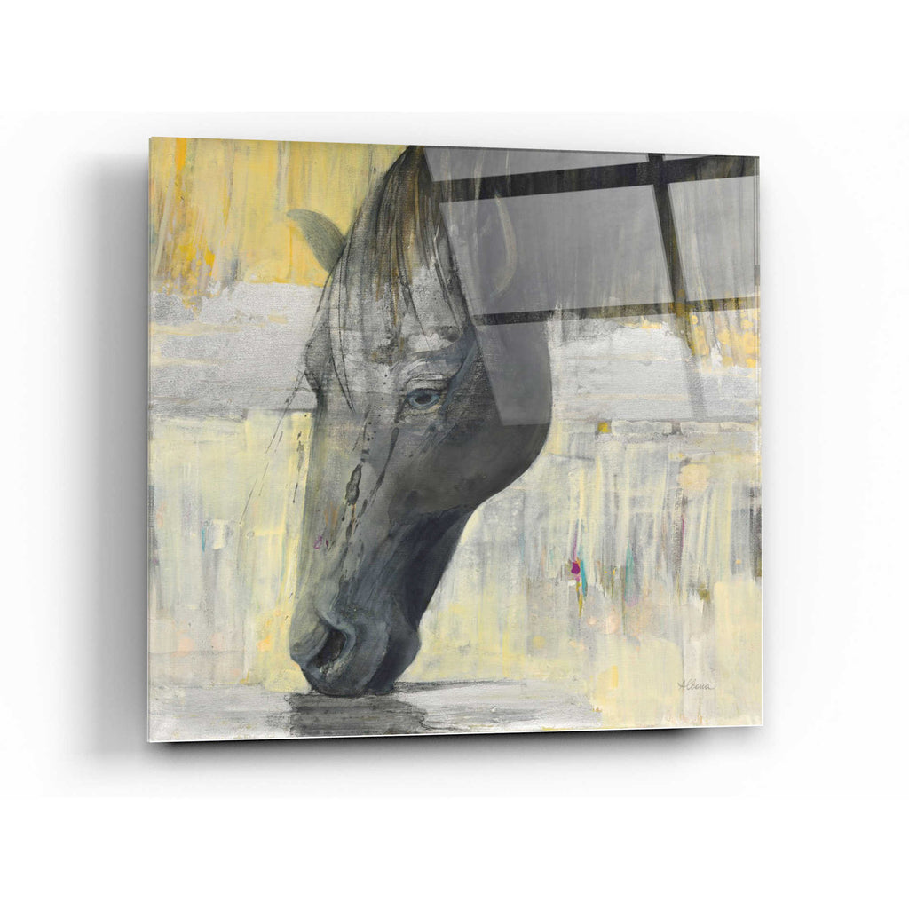 Epic Art 'Caleb' by Albena Hristova, Acrylic Glass Wall Art