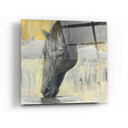 Epic Art 'Caleb' by Albena Hristova, Acrylic Glass Wall Art